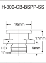 H-300-CB-BSPP-SS british thread grease fitting