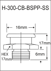 H-300-CB-BSPP-SS british thread grease fitting