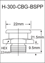 H-300-CBG-BSPP british thread grease fitting