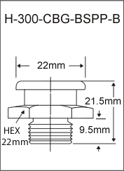 H-300-CBG-BSPP-B british thread grease fitting