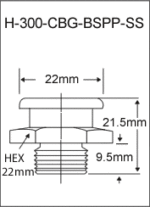 H-300-CBG-BSPP-SS british thread grease fitting