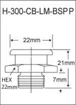 H-300-CB-LM-BSPP british thread grease fitting
