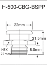 H-500-CBG-BSPP british thread grease fitting